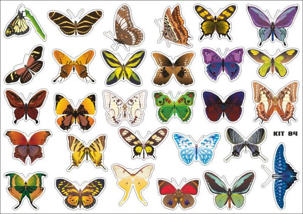 Butterflies 1 pack