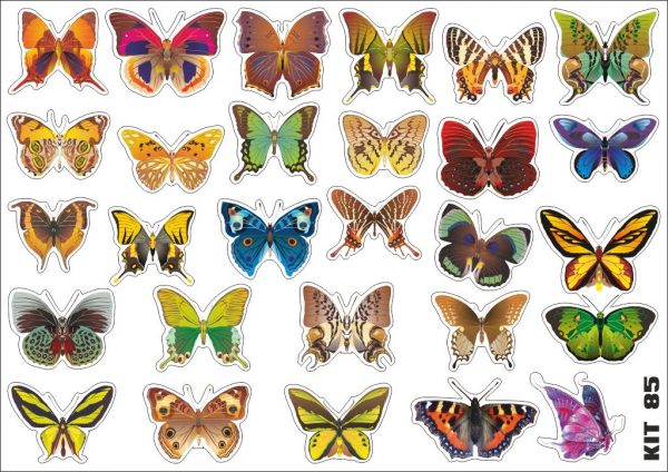Butterflies 2 pack