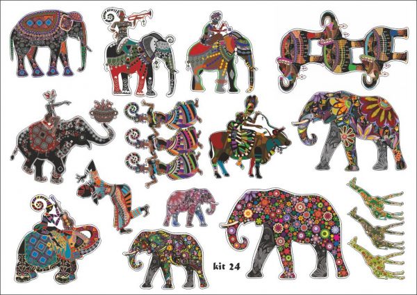 Indian elephant pack