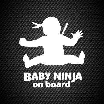 Baby ninja on board