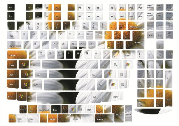 Universal Keyboard stickers, Decoration Protector Chamomile